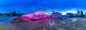 Philips LED-Beleuchtung für den Gartenbau